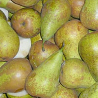Conference Pears SmartFresh