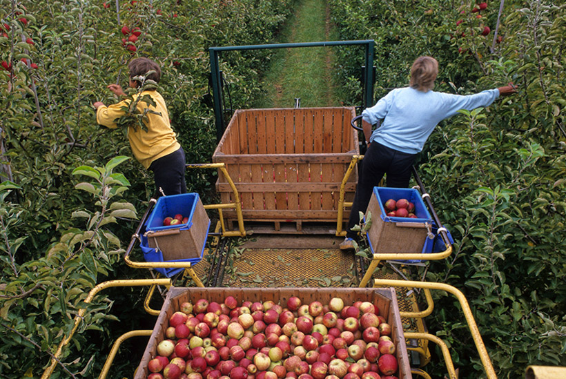 AgroFresh Information Center